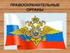 Правоохранительные органы. 9 класс