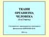 Ткани (1 и 2 части). Эпителиальная и соединительная ткань