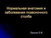 Нормальная анатомия и заболевания позвоночного столба
