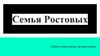 Семья Ростовых