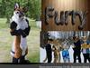 Furry