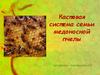 Кастовая система семьи медоносной пчелы