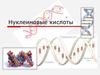 Нуклеиновые кислоты