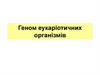Геном еукаріотичних організмів