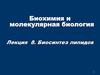 Биохимия и молекулярная биология.  Биосинтез липидов. Лекция 8