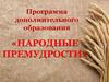 Программа дополнительного образования «Народные премудрости»
