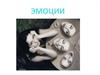 Эмоции. Классификация