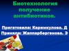 Биотехнология получения антибиотиков