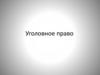 Уголовное право. Принципы уголовного права