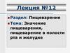 начение пищеварения, пищеварение в полости рта и желудке