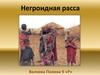 Негроидная расса