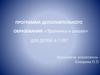 Программа дополнительного образования «Тропинка к школе»