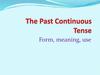 The Past Continuous Tense. Form, meaning, use