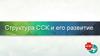 Структура ССК (студенческий спортивный клуб) и его развитие