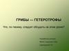 Грибы — гетеротрофы. 6 класс