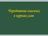 Чередование гласных в корнях слов
