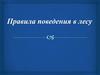 Правила поведения в лесу