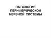 Патология периферической нервной системы