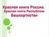 Животные зоопарка. Красная книга – книга тревоги
