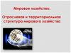 Мировое хозяйство. Отраслевая и территориальная структура мирового хозяйства