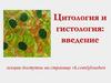 Цитология и гистология: введение