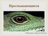 Пресмыкающиеся. Особенности пресмыкающихся