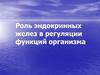 Роль эндокринных желез в регуляции функций организма
