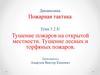 Тушение пожаров на открытой местности. Тушение лесных и торфяных пожаров.. Тема 5.2.8