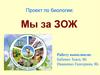 Мы за ЗОЖ