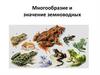 Многообразие и значение земноводных