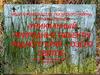 Уникальный объект родного края – озеро Святое Брянской области
