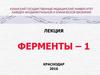 Ферменты – 1