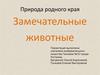 Природа родного края. Замечательные животные