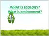 What is ecology? What is environment?