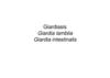 Giardiasis Giardia lamblia Giardia intestinalis