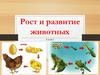 Рост и развитие животных