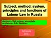 Subject, method, system, principles and functions of labour law in Russia