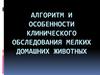 Алгоритм и особенности клинического обследования мелких домашних животных
