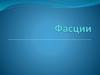 Фасции. Фундаментальная роль в физиологии человека