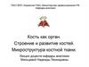 Кость как орган. Строение и развитие костей. Микроструктура костной ткани