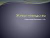 Животноводство. 4 класс