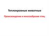 Теплокровные животные. Происхождение и многообразие птиц
