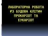 Будова клітин прокаріот та еукаріот