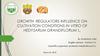Growth regulators influence on cultivation conditions in vitro of hedysarum grandiflorum L