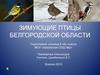 Зимующие птицы Белгородской области