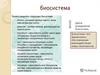 Свойства биосистем
