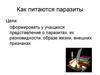 Паразиты, их разновидности, образ жизни, внешние признаки