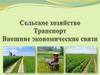 Сельское хозяйство. Транспорт. Внешние экономические связи