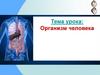 Организм человека