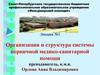 Организация и структура системы первичной медико-санитарной помощи